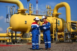 Integrasi Infrastruktur Gas Bumi, Strategi PGN Raih Potensi Demand Industri & Kelistrikkan di Batam