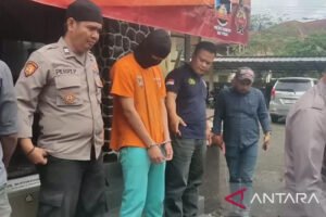 Perundungan Paling Banyak di Jenjang SD dan SMP