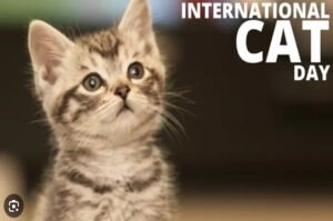 Mengenal Sejarah Hari Kucing Sedunia