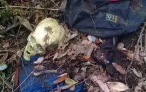 Temukan Fosil Tengkorak Purba di Turki, Peneliti Ragukan keberadaan Nenek Moyang di Afrika