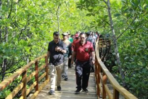 Mangrove Pering Destinasi Pariwisata Strategis di Kepri
