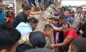 Buaya Hantui Warga Perumahan di Sagulung