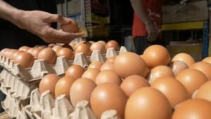 Alamak, Harga Telur di Pasar Jodoh Tembus Rp55 Ribu per Papan