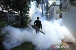 Kemenkes: Kasus Dengue Meningkat Dua Kali Lipat pada Maret 2024