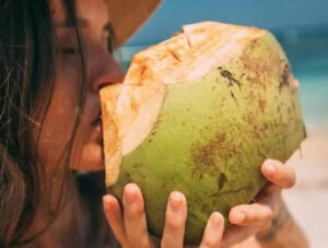 Minum Air Kelapa Dapat Mencegah Penyakit Batu Ginjal