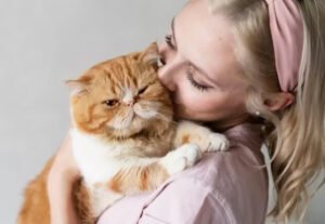 Suka Mencium Kucing Peliharaan, Jangan Sampai Jadi Masalah Pada Kesehatan, Ini Risikonya