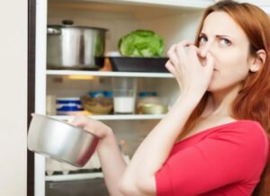 Cara Mengatasi Makanan Beraroma, Salah Satunya Rajin Bersihkan Lemari Pendingin