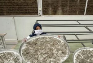 Dokter Rekomendasikan Teh Herbal untuk Atasi Bau Mulut Saat Puasa