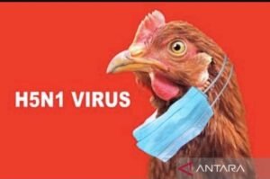 WHO Umumkan Satu Orang Meninggal karena Jenis Flu Burung “Misterius”