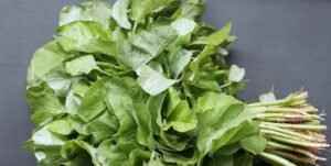 Manfaat dan Cara Makan Bayam yang Benar
