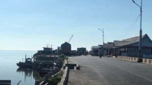 Berlibur ke Dabo Menikmati Pantai Hingga Rumah Kebun