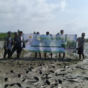 PT Yamamto Asi & LSM Mapan Tanam 10 Ribu Bibit Mangrove di Puau Tomoyong