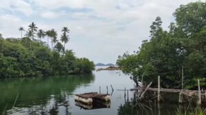 Desa Wisata Pengudang Wisata Unik Daerah Terluar Pulau Bintan