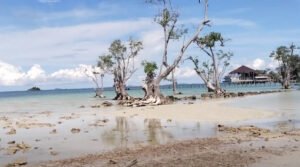 Menyusuri Pantai-Pantai Indah Sepanjang Jalan Jembatan Barelang