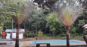 Relaksasi di Sumber Air Panas Alami Dabo Singkep