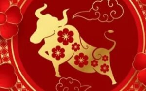 Shio yang Selalu Sempurna Tanpa Kesalahan Sekecil Apapun Saat Melakukan Sesuatu