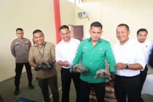 Kura-Kura Langka Diselundupkan Lewat Ekspedisi, Polisi Gagalkan Upaya Penyelundupan di Batam