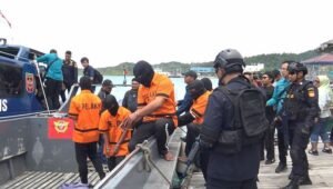 Lagi, Penyelundup Benih Lobster Senilai Rp 26,9 Miliar Diamankan di Batam, akan dibawa ke Vietnam