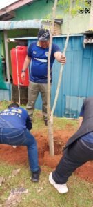 Pegawai Perkim Bintan Jalan Sehat dan Tanam Pohon di Tengah Rintik Hujan