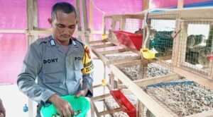 Bripka Doni Firmansyah Wujudkan Ketahanan Pangan Peternakan Burung Puyuh