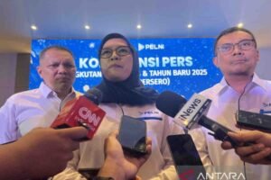 Natal dan Tahun Baru 2025, Pelni Siapkan 3.100 Tiket Gratis, Ada Rute Batam-Belawan