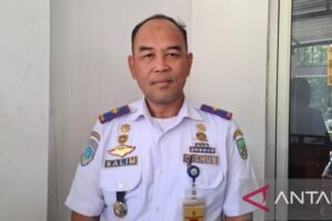 Target Retribusi Parkir Batam Rp 15 Miliar di 600 Titik, 1.238 Kendaraan Langganan