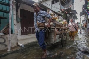 BMKG: Banjir Rob Diprediksi Terjadi di Batam hingga Pinang, Ganggu Bongkar Muat di Pelabuhan