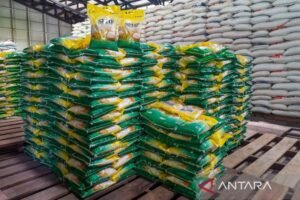 Beras Bulog di Natuna Dijual Sesuai HET Rp 13.100 Per Kilo, Jual Lebihi HET Pedagang Ditindak