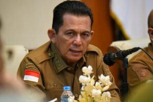 Penyelesaian Ruas Jalan, Penataan Plaza Penyambut, dan Balai Adat jadi Prioritas Penataan Pulau Penyengat Lanjutan