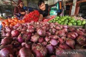 Harga Pangan Selasa: Bawang Merah, Minyak dan Beras Naik