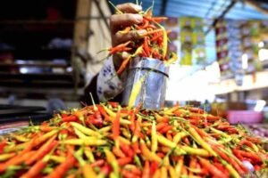 Harga Pangan Kamis, Cabai Tembus Rp120 Ribu Sekilo di Batam
