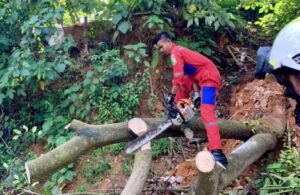 Damkar Batam Siap Layani Masyarakat: Bisa Buka Cincin hingga Nangkap Biawak
