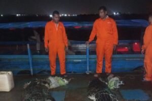 BKSDA: Buaya yang Lepas dari PT PKJ Pulau Bulan tak Sampai Ratusan Ekor