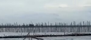 Keberadaan Pagar Laut di Pesisir, Cermin Lemahnya Pengawasan Pemerintah Pusat dan Daerah