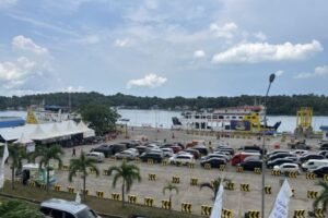 Hindari Antrian di Telaga Punggur, Pesan Tiket Roro Online