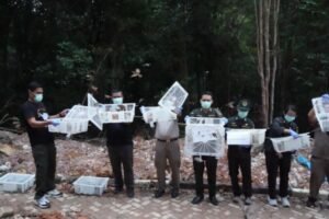 1.200 Burung Pipit dari Kuala Tungkal Dilepasliarkan di Kawasan Taman Wisata Alam Muka Kuning