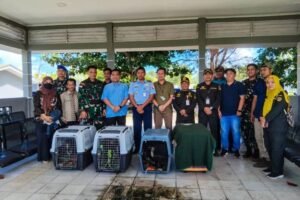Kekah, Hewan Endemik Natuna akan Dipindahkan ke Pasuruan, Jawa Timur, Ini Tujuannya…