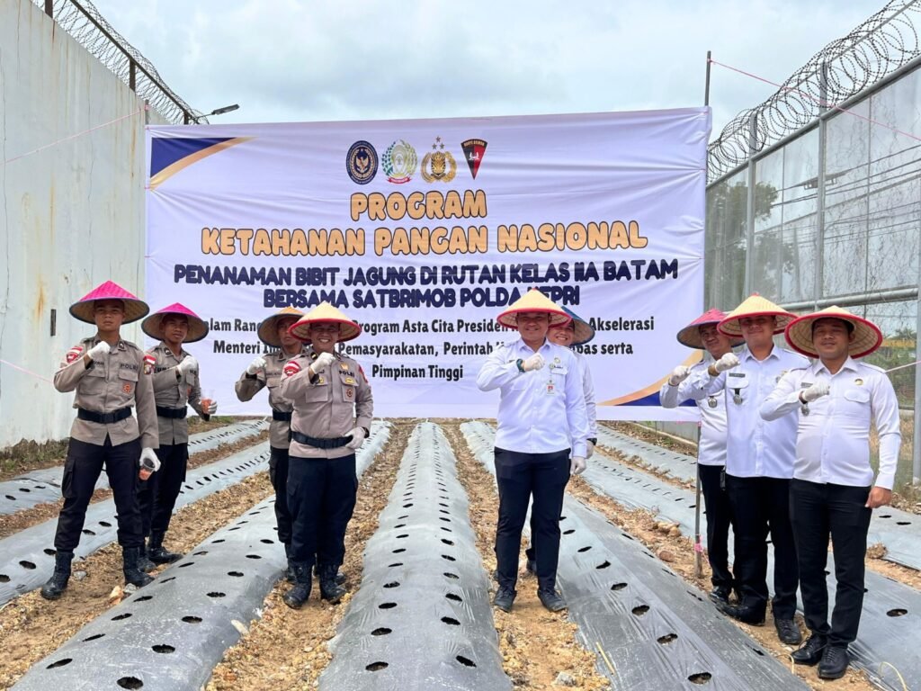 Rutan Batam Sukses Panen 140 Kg Sayuran dan Menanam Bibit Jagung