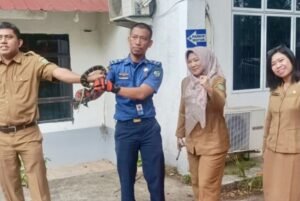 Ular Sepanjang 3 Meter Masuk ke Kantor Dinsos PM Batam