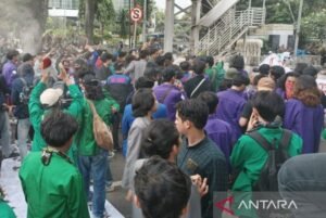 Pelantikan Kepala Daerah Diwarnai Demo BEM SI, Sampaikan 13 Tuntutan