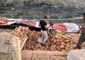 Ramadan 1446 H, Harga Santan Murni Tembus Rp 46 Ribu Per Kilogram di Batam