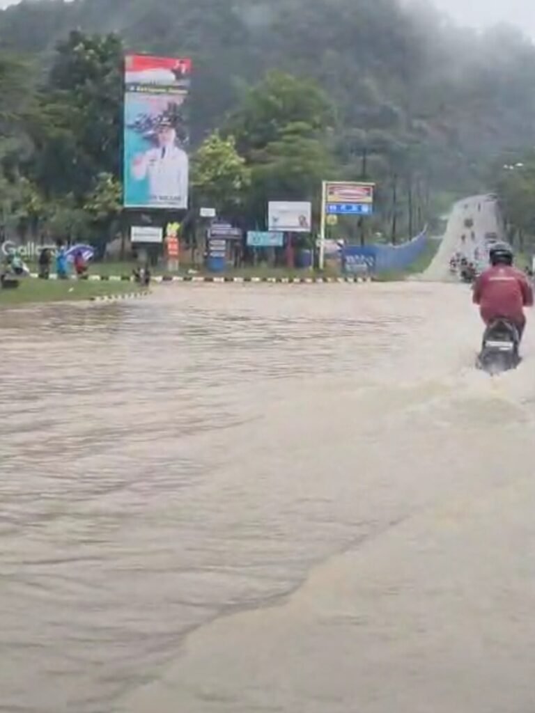Dua Hari Diguyur Hujan, Sejumlah Kecamatan di Batam Dilanda Banjir hingga Pohon Tumbang