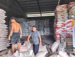 Jelang Penyaluran Pupuk Subsidi di Bintan, Gudang PT Perusahaan Perdagangan Indonesia Diawasi