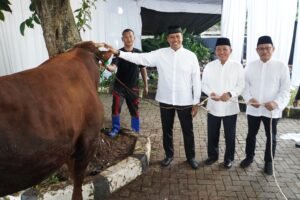 Pendistribusian Hewan Kurban BSI Capai 15.272 Ekor di Idul Adha 1446 Hijriah