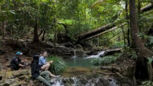 Libur Sekolah? Ke Taman Wisata Alam Eco Edu Park Panbil Nature Reserve Aja!