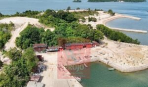 Soroti Kerusakan Mangrove, Projo Kepri Siapkan Laporan Resmi ke KKP, KLHK dan Mabes Polri