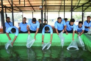 Wujudkan Ketahanan Pangan Natuna, Lanud Raden Sadjad Tebar 60 Ribu Benih Lele