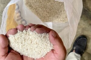 Praktik Pengoplosan Beras Merebak, Begini Penjelasan Instansi Terkait di Batam