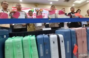 Mau Dibawa ke Batam, Penyeludup 710.770 Benih Lobster Melibatkan Petugas Avsec Dibekuk Polisi