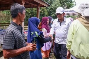 Pemprov  Kepri Bagikan Bibit Cabai Gratis, Ayo Manfaatkan Pekarangan Rumah